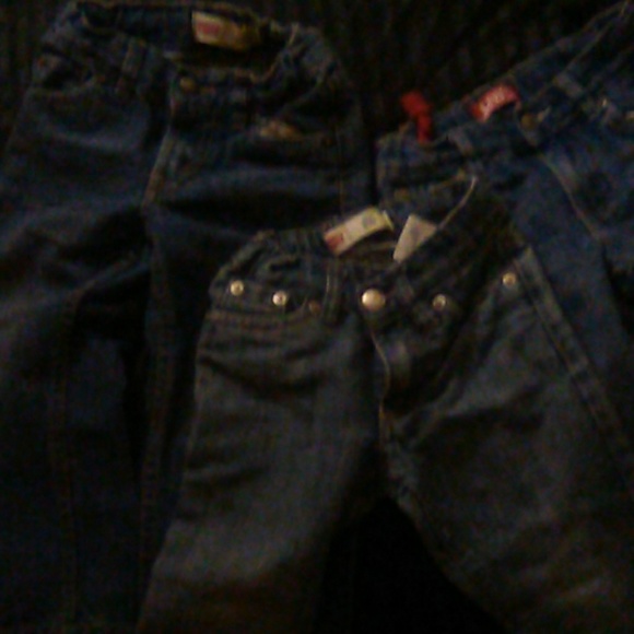 Levi bundle - Picture 2 of 3